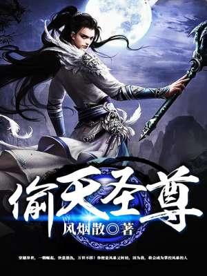 偷天帝尊