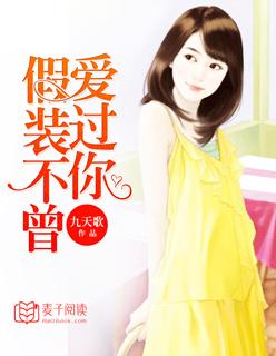 假装不曾爱过你 九天歌