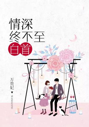 情深不许到白头全文免费阅读