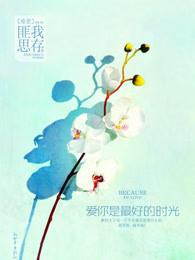 爱你是最好的时光 百度