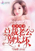 只想认真喜欢你全文