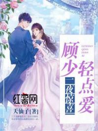 一夜惊喜全文免费阅读