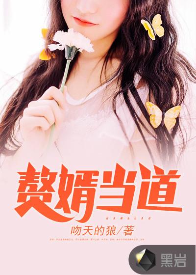 上门赘婿天下无敌