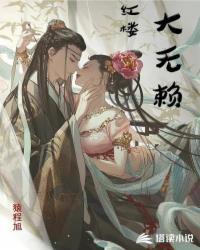 红楼大无赖全本TXT免费阅读