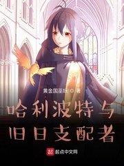 哈利波特霍格沃兹之遗