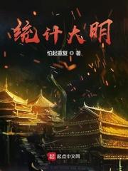 统计大明  免费