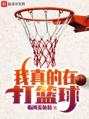 我真的在打篮球有声