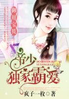 帝少独家霸爱天价宝贝休想逃
