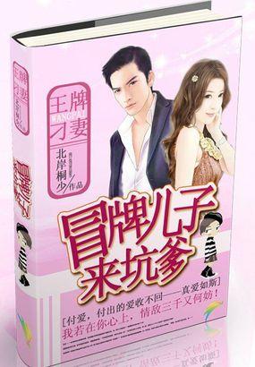 冒牌儿子来坑爹王牌刁妻 北岸桐少