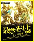 圣斗士类排行榜