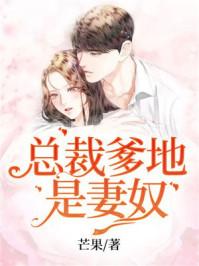 帝少总裁是爹地无弹窗