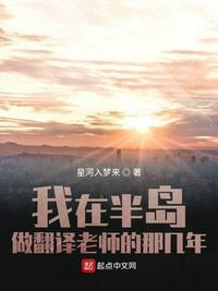 我在半岛当翻译老师的那几年