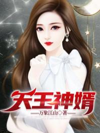 天王赘婿在线阅读免费