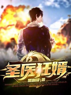 圣医狂婿林易、叶清雪