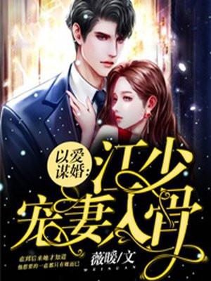 以爱为谋陆少已入局全文免费