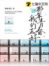 那年青春我们正好简介