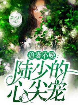 追妻不晚陆少的心尖宠TXT