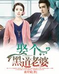 黑道大哥娶了检察官