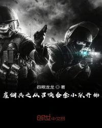 雇佣兵之从召唤合金小队开始艾达王