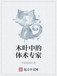木叶体术忍者