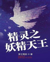精灵之最强天王
