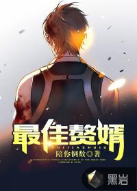 最佳女婿全文免费