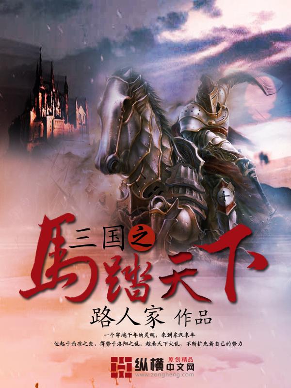 三国之马踏天下陈风是谁