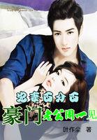 宠婚豪门男妻