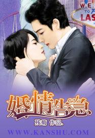 总裁想复婚的第N天