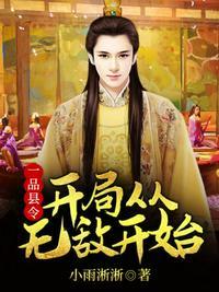 一品县令开局从无敌开始未删减
