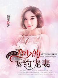 闪婚溺宠契约妻