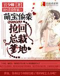 天降萌宝总裁爹地太神秘