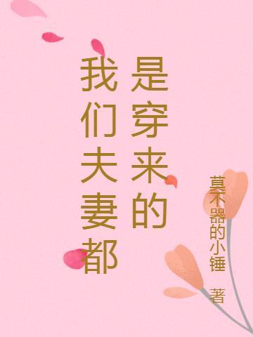 我们是夫妻是哪首歌的歌词