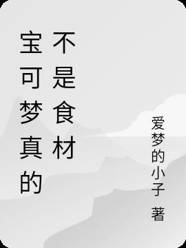 宝可梦食物