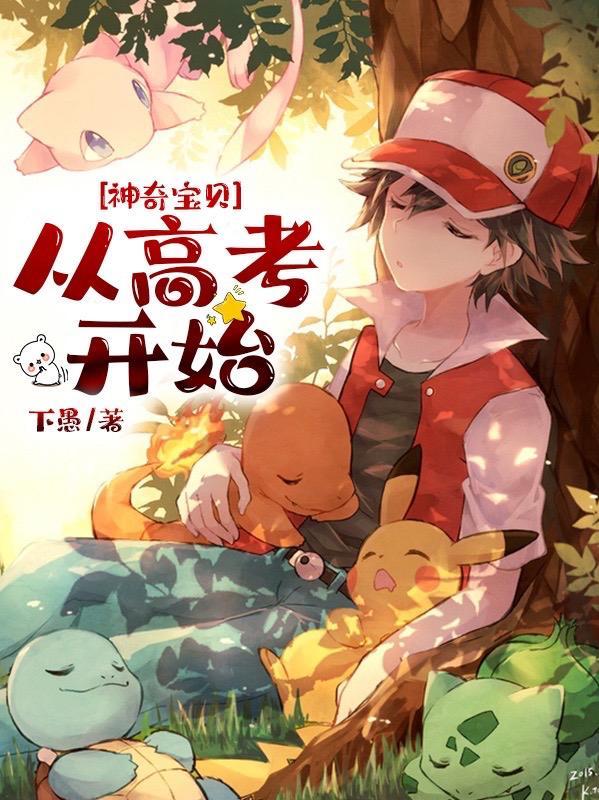 神奇宝贝之从神奥开始免费阅读