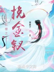 红楼之挽韶华