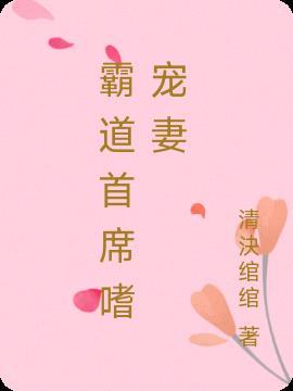 霸道首席的隐婚宠妻