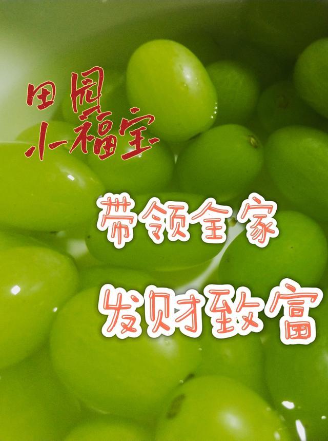 田园小福妻全文免费116