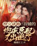 首辅撩妻日常全文免费阅读若磐