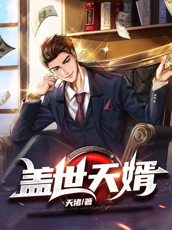 盖世天婿 佚名