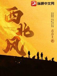 西北风刮着将句子写生动形象