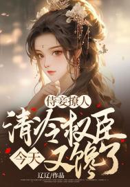 侍妾清穿