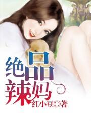 极品辣妈好v5百度百科
