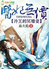 医妃无价冷王爷的神秘贵妻