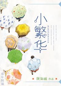繁花全文免费阅读