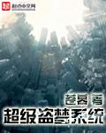 超级盗贼 全集