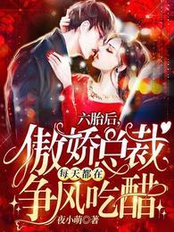 六胞胎要炸了总裁的