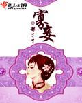 寡妾全文免费阅读