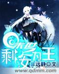 剩女为王剧情简介