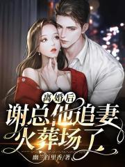 离婚后谢总追妻火葬场了